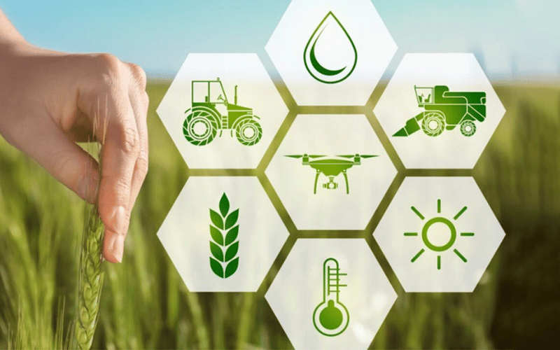 Farmora Agro grows its contract farming network