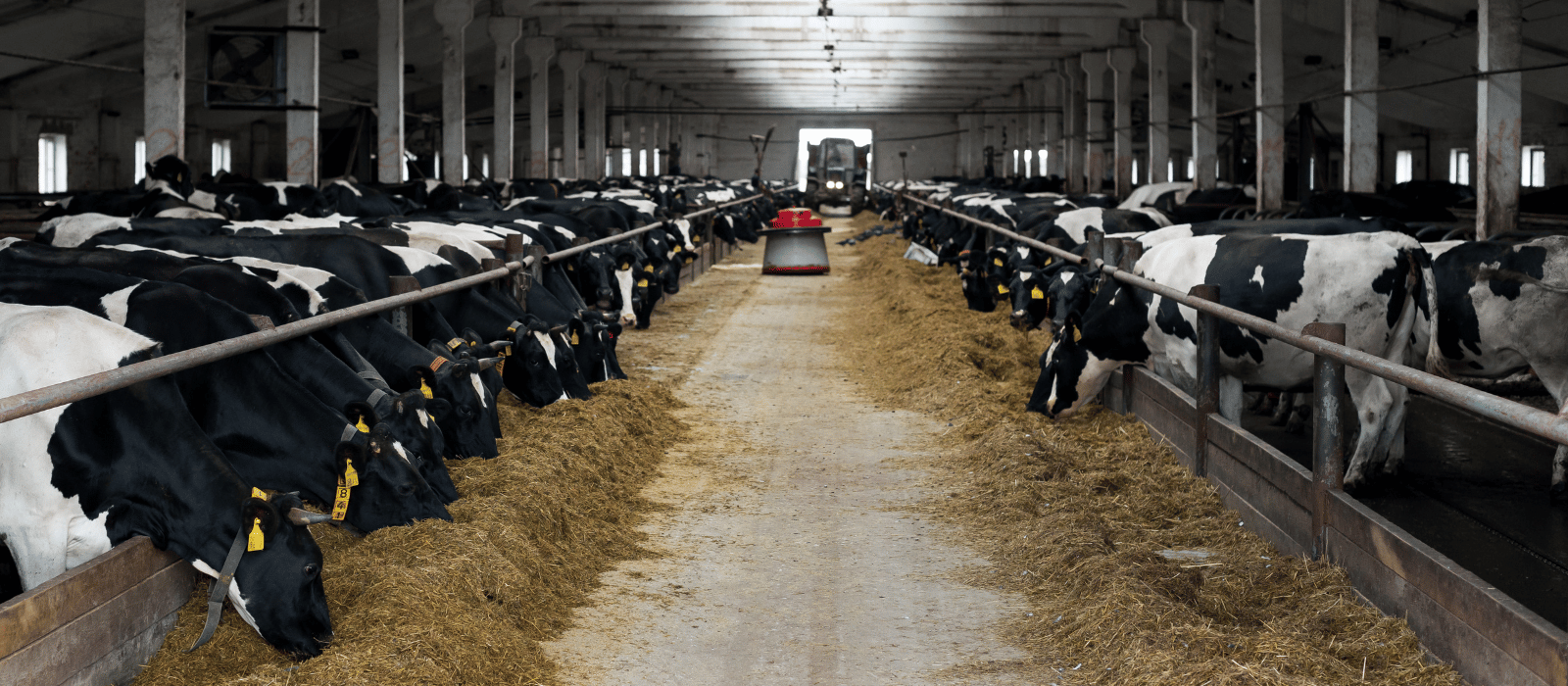 Integrated farm-to-product dairy model