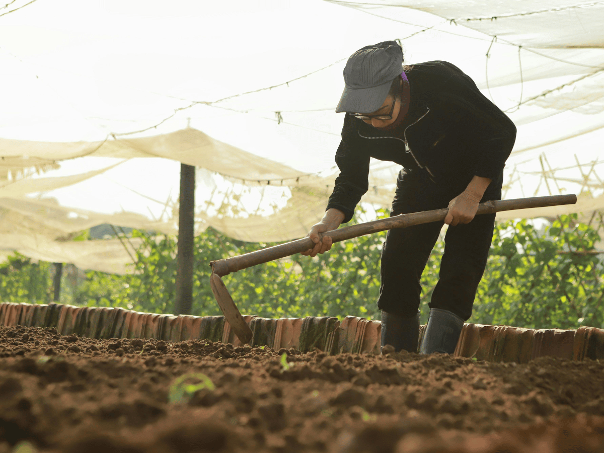 Contract Farmer Training